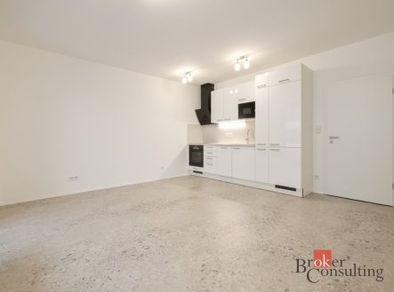 Pronájem bytu, 1+kk, 34 m²