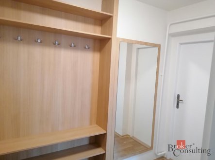 Pronájem bytu, 1+1, 42,81 m²