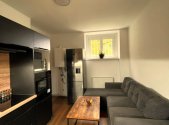 Pronájem bytu, 1+kk, 43 m²