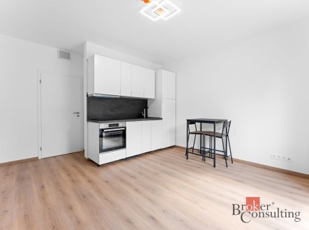 Pronájem bytu, 1+kk, 22 m²
