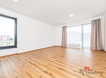 Pronájem bytu, 1+kk, 47,11 m²