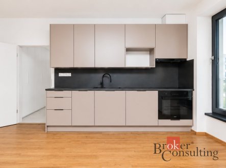 Pronájem bytu, 1+kk, 47,11 m²