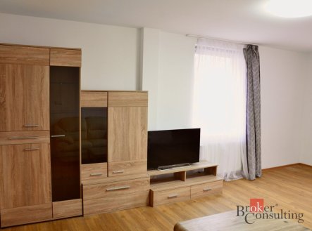 Pronájem bytu, 3+kk, 55 m²