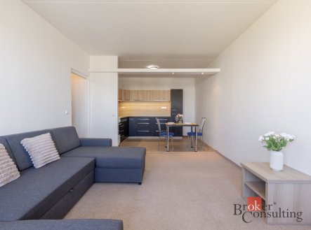 Pronájem bytu, 2+kk, 48 m²