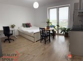 Pronájem bytu, 1+kk, 30,6 m²