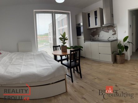Pronájem bytu, 1+kk, 30,6 m²