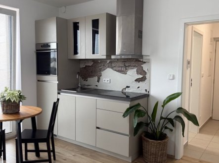 Pronájem bytu, 1+kk, 30,6 m²