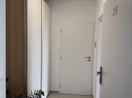 Pronájem bytu, 1+kk, 30,6 m²