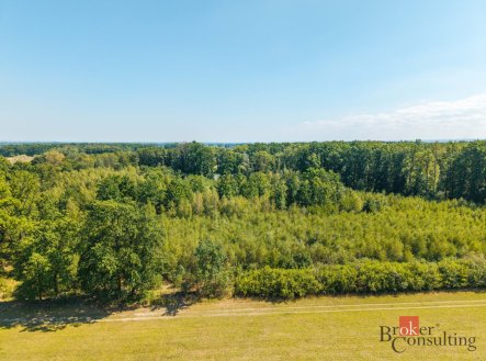 Prodej pozemku, les, 37 347 m²