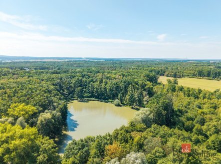 Prodej pozemku, les, 37 347 m²