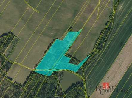 Prodej pozemku, les, 37 347 m²