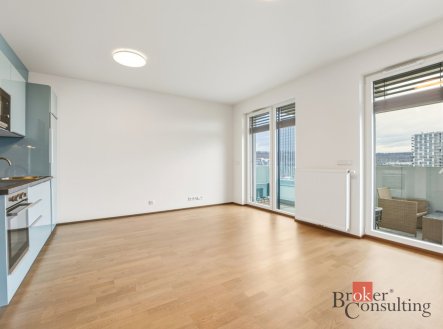 Prodej bytu, 1+kk, 31,6 m²