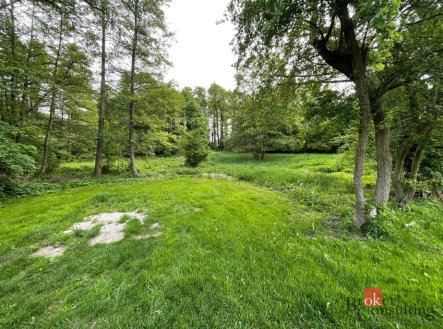 Prodej pozemku, ostatní, 24 584 m²