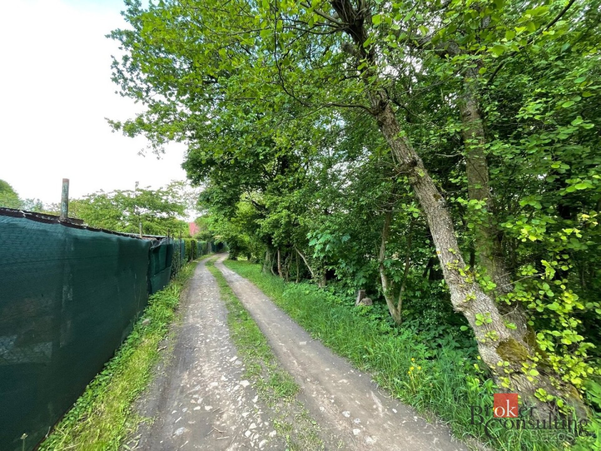 Prodej, pozemky/vinice/sady, 24584 m2, Chomutov  [ID 89685]