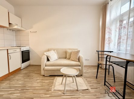 Pronájem bytu, 1+kk, 21 m²