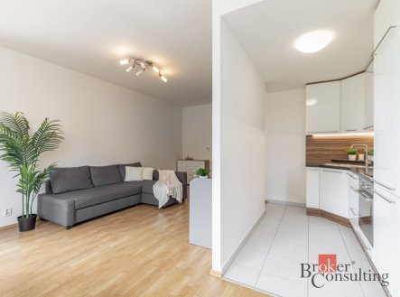 Prodej bytu, 1+kk, 48 m²