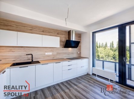 Pronájem bytu, 2+kk, 56,41 m²