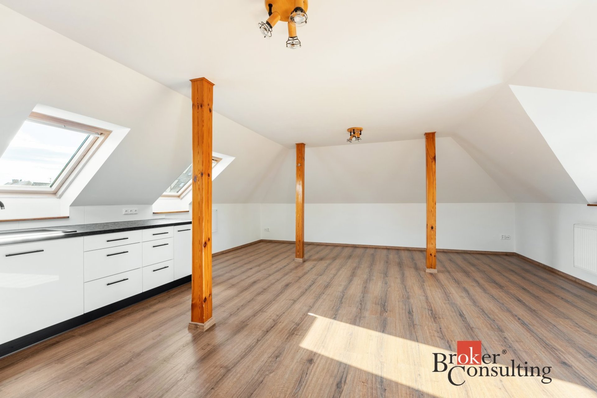 Pronájem, byty/3+kk, 110 m2, Bezděčín 83, 29301 Mladá Boleslav, Mladá Boleslav [ID 89821]