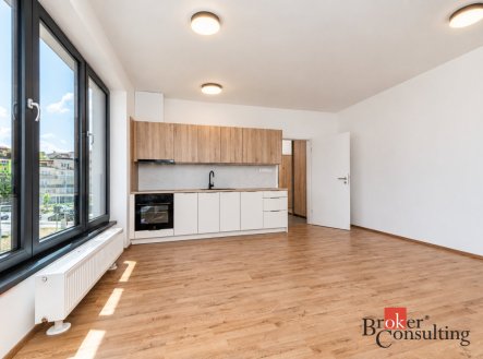 Pronájem bytu, 1+kk, 38,17 m²