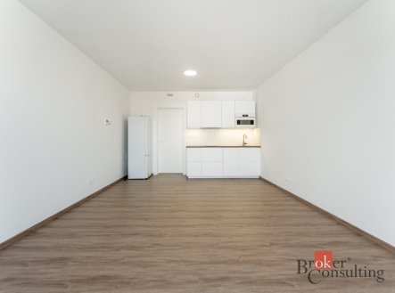 Pronájem bytu, 1+kk, 39 m²