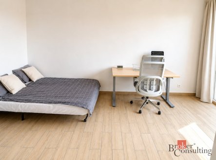 Pronájem bytu, 1+kk, 48 m²