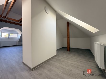 Pronájem bytu, 1+kk, 59 m²