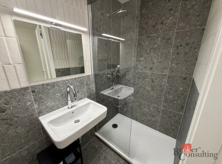 Pronájem bytu, 1+kk, 24,6 m²
