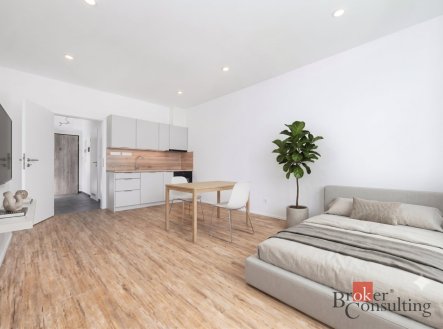 Pronájem bytu, 1+kk, 35,57 m²