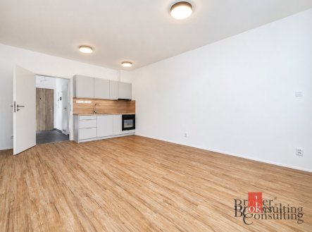Pronájem bytu, 1+kk, 35,57 m²