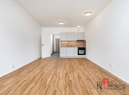 Pronájem bytu, 1+kk, 35,57 m²