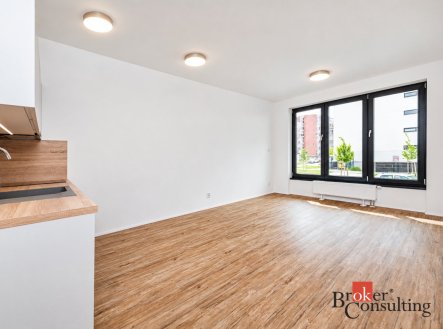Pronájem bytu, 1+kk, 35,57 m²