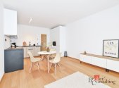 Pronájem bytu, 1+kk, 36,6 m²