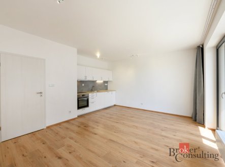 Pronájem bytu, 1+kk, 44 m²