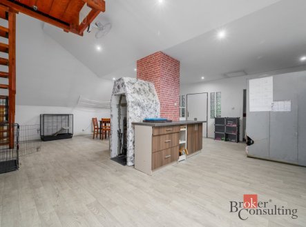 Prodej domu/vily, 335 m²