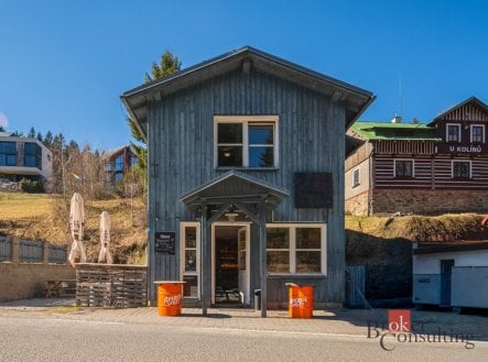 Prodej komerčního objektu, jiný, 160 m²