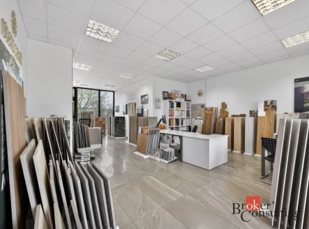 Pronájem komerčního objektu, jiný, 66 m²