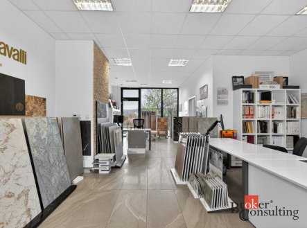 Pronájem komerčního objektu, jiný, 66 m²
