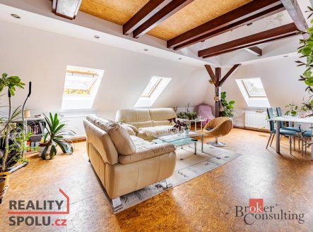 Prodej domu/vily, 465 m²