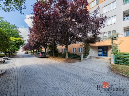 Prodej bytu, 2+kk, 43 m²