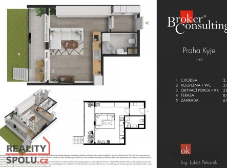 Pronájem bytu, 1+kk, 31,4 m²