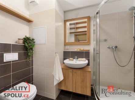 Pronájem bytu, 1+kk, 31,4 m²