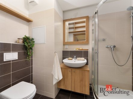 Pronájem bytu, 1+kk, 31,4 m²