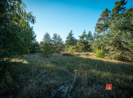 Prodej pozemku pro bydlení, 2 135 m²