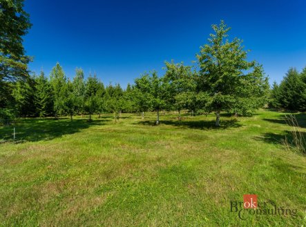 Prodej - pozemek pro bydlení, 12 049 m²