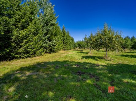 Prodej - pozemek pro bydlení, 12 049 m²