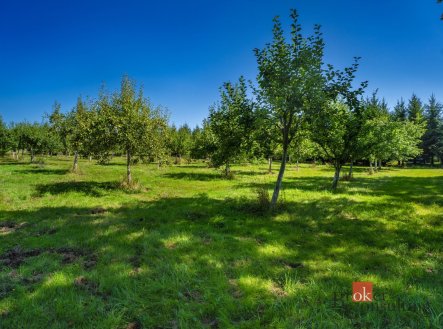 Prodej - pozemek pro bydlení, 12 049 m²