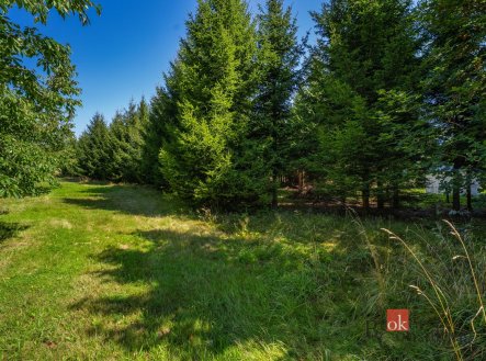 Prodej - pozemek pro bydlení, 12 049 m²