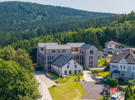 Pronájem bytu, 1+kk, 50,5 m²