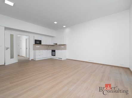 Pronájem bytu, 1+kk, 50,5 m²