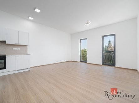 Pronájem bytu, 1+kk, 50,5 m²